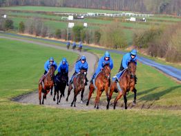 Horse Racing Jackdaw S Castle Media Day Feb Taken by Paul Nicholls ( ) in the Cotswolds